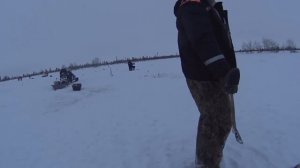 Жерлицы срабатывают одна за одной! ЩУКА на МОЙВУ! Fishing for pike in Siberia.