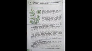 Читаем детям. ЗЕЛЁНЫЕ СТРАНИЦЫ. А.А.Плешаков. Страница первая. ПТИЧЬЯ ГРЕЧИШКА.