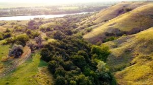 Побережье Кубани. Просторы города Армавира. Прочноокопская. Красивая природа. Лето. DJI mini
