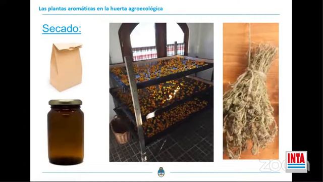 La Huerta Familiar Agroecológica primavera verano - Encuentro 5 (2020) смотреть онлайн