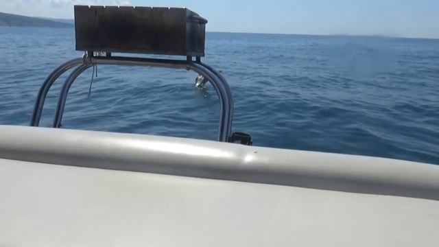 Влог Морская прогулка Геленджик Рыбалка в море Кормим чаек Встреча с дельфинами