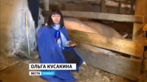 Сюжет о ферменте для содержания сельскохозяйственных животных