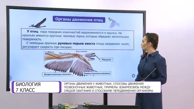 Биология. 7 класс. Органы движения у животных. Способы движения позвоночных животных, примеры