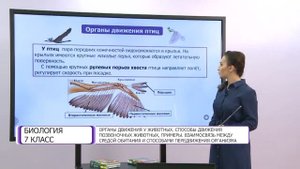 Биология. 7 класс. Органы движения у животных. Способы движения позвоночных животных, примеры