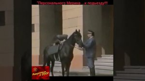 Мерина к подьезду!!!