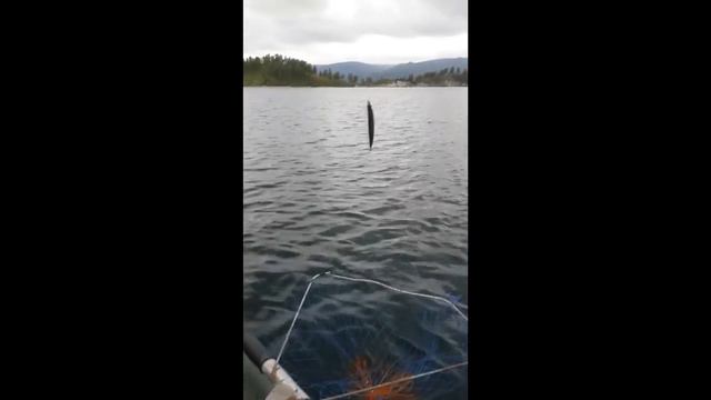 Омулевая рыбалка смотреть онлайн