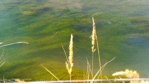 Очки с эффектом поляризации света (polarized)  на рыбалке