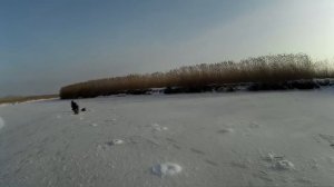 НЕВЕРОЯТНО!!!ловля БОЛЬШОГО окуня на течении на мормышку. зимняя рыбалка