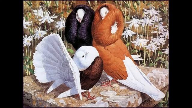 Чарльз Tunnicliffe (Tunnicliffe Charles) картины великих художников смотреть онлайн