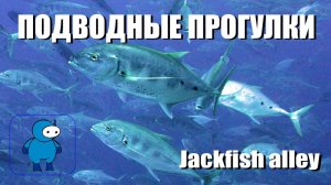 Глубины Jackfish alley