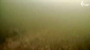 Что будет при прорыве Волжской ГЭС? На лодке по Волгограду с ихтиологом