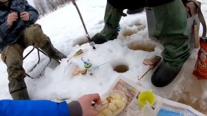 Рыболовные соревнования по ловле на мормышку со льда. Часово 07.04.2018