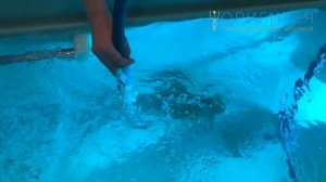 Детокс ванны. Ванна с бишофитом. Выведение отходов жизнедеятельности и токсинов