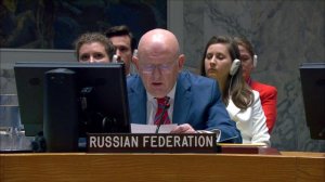 Point of order by Amb. Nebenzia at UNSC briefing on the situation of human rights in the DPRK