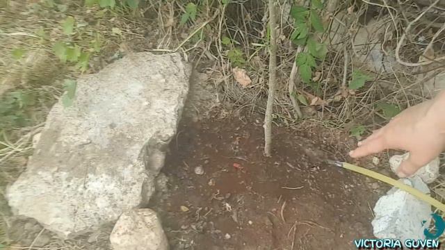 ОДИН ДЕНЬ ИЗ ЖИЗНИ ТУРЕЦКОЙ ЖЕНЫ. ТАЙСКИЙ БОКС, ЗМЕЯ, ЖИЗНЬ В ТУРЦИИ (9 выпуск)