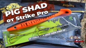 НОВЫЕ ПОСТУПЛЕНИЯ. PIG SHAD от Strike Pro