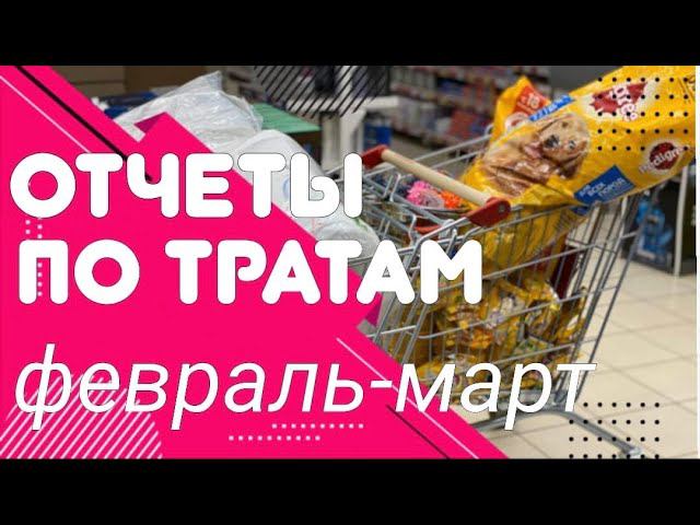 Отчеты по тратам на бездомных животных