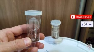 Мошка в квартире! Выход есть – избавляемся от дрозофилы!