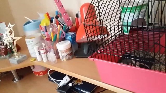 ОБЗОР на новую клетку и вещи Крис смотреть онлайн