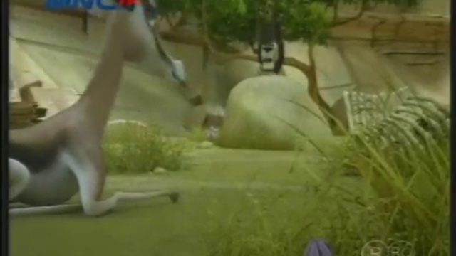 Leon Error of the Savannah - Leon - Electro Shock смотреть онлайн