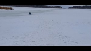 Не погода, не повод сидеть дома. Рыбалка на озере Иртяш