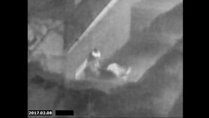 Съемка днем в городе через тепловизионный прицел Dedal-T2.380 Hunter