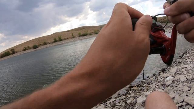 Прикормка Dunaev приманила много карася и подлещика. Сазана так и не дождались. смотреть онлайн