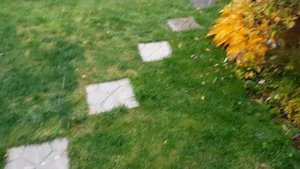 ПЕРВЫЙ СНЕГ В ПОДМОСКОВЬЕ//СНЕГ В ОКТЯБРЕ// first snow