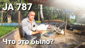 БРОЙЛЕР JA 787 - цветной или простой белый? Клетка или пол? Есть ли в нем смысл?