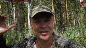 Морошка - где найти ее под Тверью, и как сделать варенье