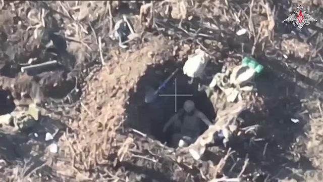 Укронацисты несут потери под Клещеевкой