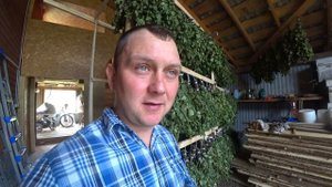 Берёзовые веники на продажу. Планка в 1700 шт. реализована. Какой он, бизнес на вениках?