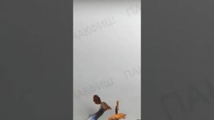 Гуппи дамбо дракон