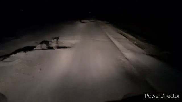 Дороги Сибири Новосибирск через Кольцово на трассу Ленинск - Кузнецкий май 2021
