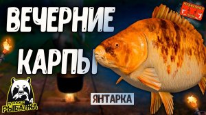РР4/ рыбалка для души, ловим как универсал, общаемся 05.11.23