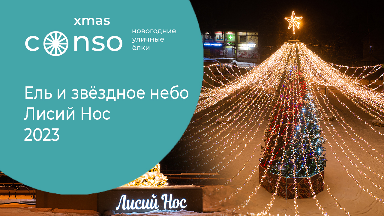 Елка со звёздным небом в Лисьем Носу #consoxmas