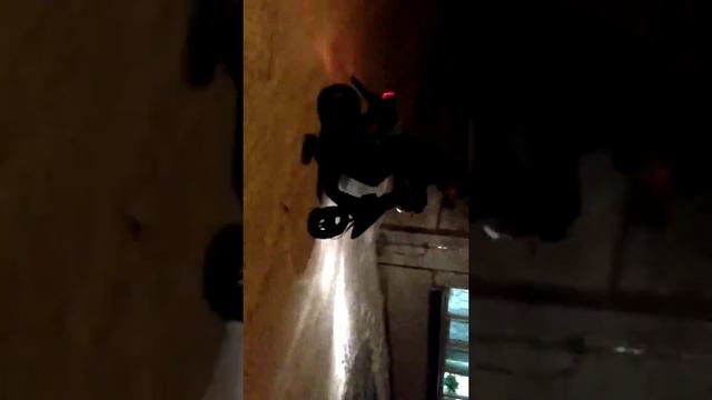 suzuki lets 2 смотреть онлайн