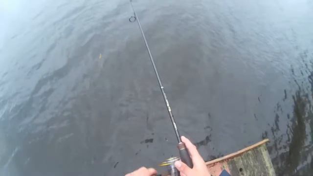 Весна, влог, щука на манс придатор смотреть онлайн