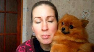 Течка у шпица, чего ожидать ?