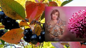 Как рябина чёрная