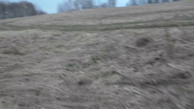 кустопильный понедельник. смотреть онлайн