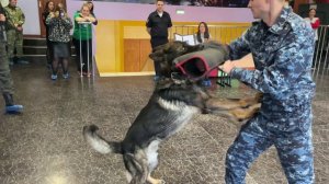 В Магаданской области проходит всероссийская акция «Зарядка со стражем порядка»