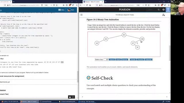 Python AVL BST Test смотреть онлайн