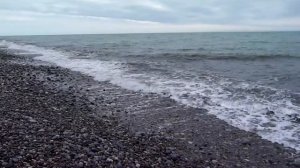 Возвращение к морю