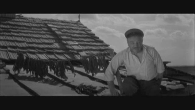 Промо Алешкина Любовь смотреть онлайн