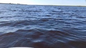 Ловля щуки с лодки в отвес. (шаромыга).