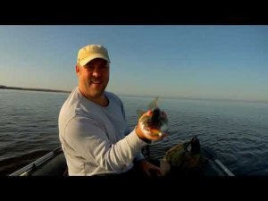 Ловля судака на заливе. Архив.