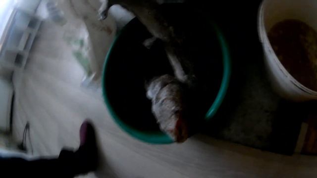 В родительском доме у МАМЫ в деревне. Деревенская уютная обстановка... смотреть онлайн