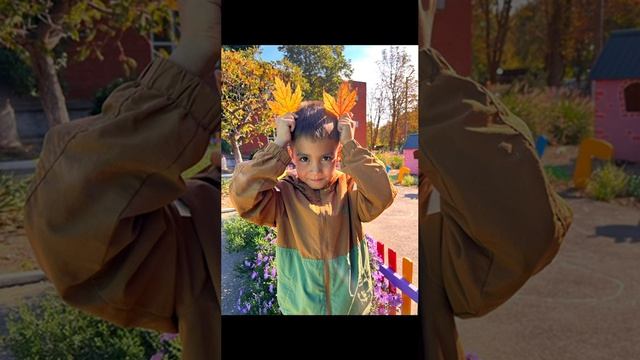 Вот и наступила золотая осень!