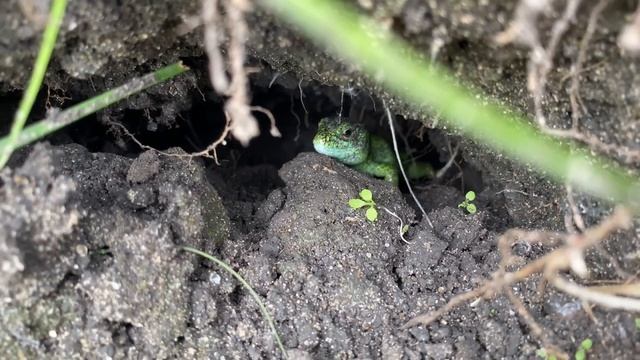 Воронеж водосброс рыбалка, как доехать, где находится и стоит ли ехать. Куда съездить порыбачить.